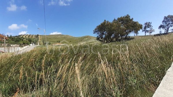 terreno agricolo in vendita a Catanzaro in zona Santa Maria