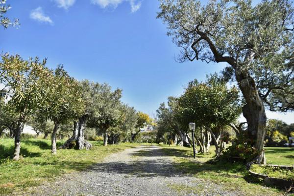 negozio in vendita a Catanzaro in zona Siano