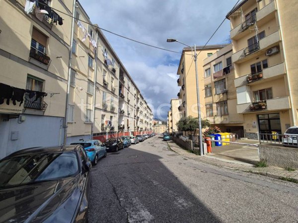 appartamento in vendita a Catanzaro in zona Pontepiccolo
