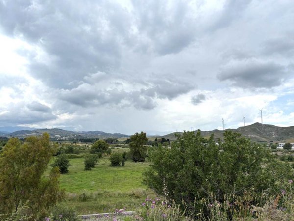 negozio in vendita a Catanzaro in zona Petricciolo / Alli