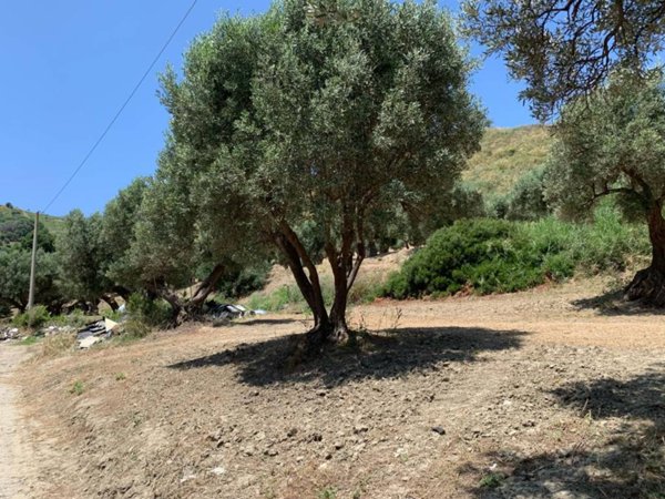 terreno agricolo in vendita a Catanzaro in zona Catanzaro Lido