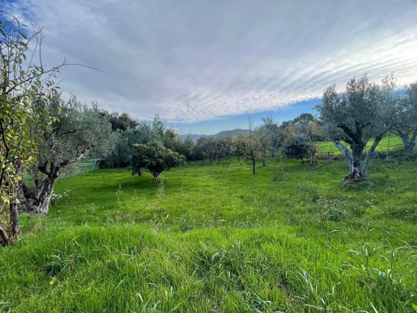 terreno agricolo in vendita a Catanzaro