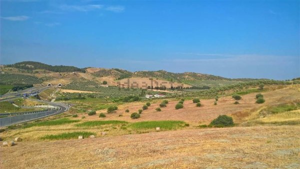 terreno agricolo in vendita a Catanzaro in zona Barone