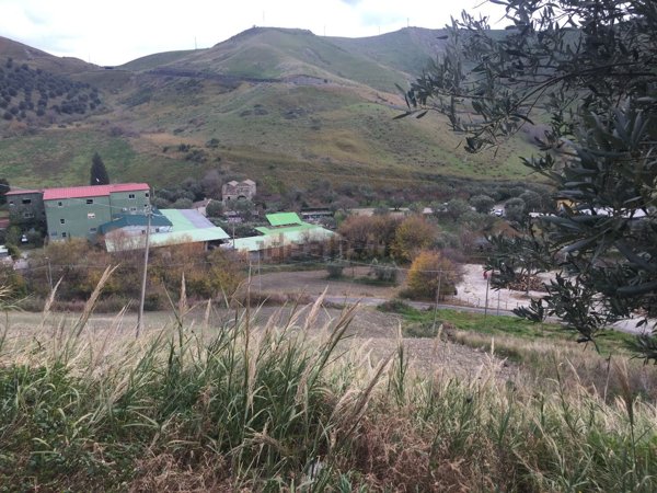 terreno agricolo in vendita a Catanzaro in zona Germaneto