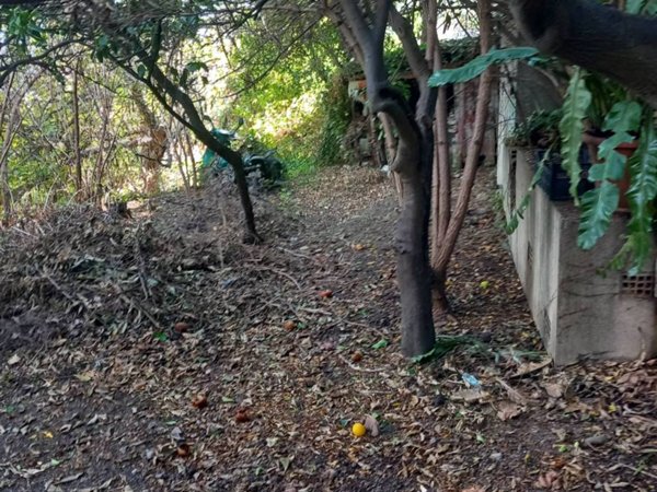 casa indipendente in vendita a Catanzaro in zona Pontegrande