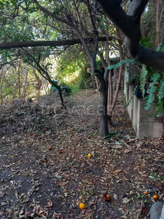 casa indipendente in vendita a Catanzaro in zona Pontegrande