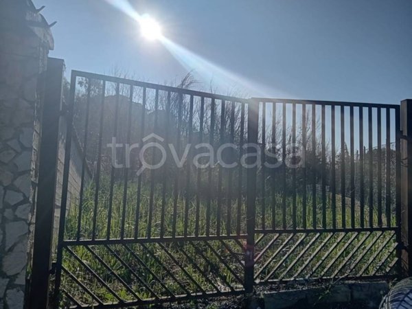 terreno agricolo in vendita a Catanzaro in zona Mater Domini