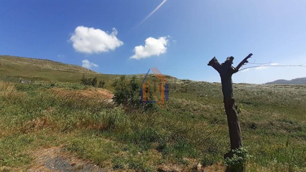 casa indipendente in vendita a Catanzaro in zona Santa Maria