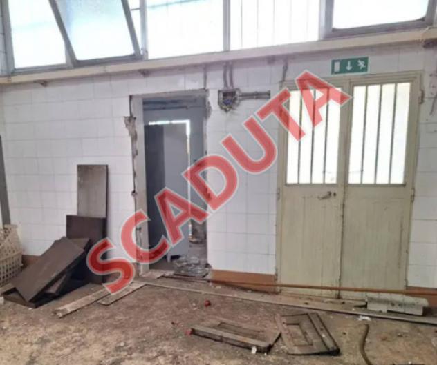 pentavano in vendita a Catanzaro in zona Gagliano