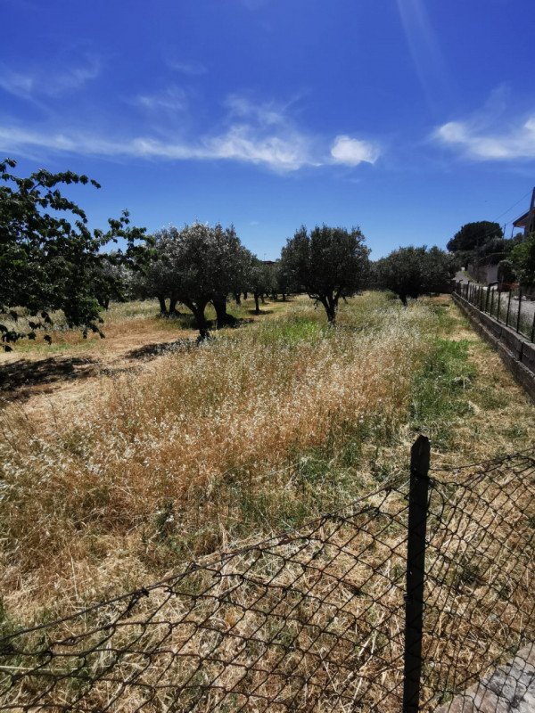 terreno edificabile in vendita a Catanzaro in zona Siano