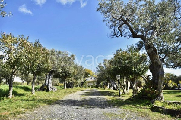 terreno agricolo in vendita a Catanzaro in zona Siano