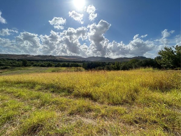 terreno agricolo in vendita a Catanzaro in zona Germaneto