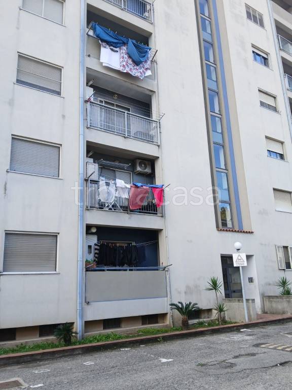 appartamento in vendita a Catanzaro in zona Santa Maria