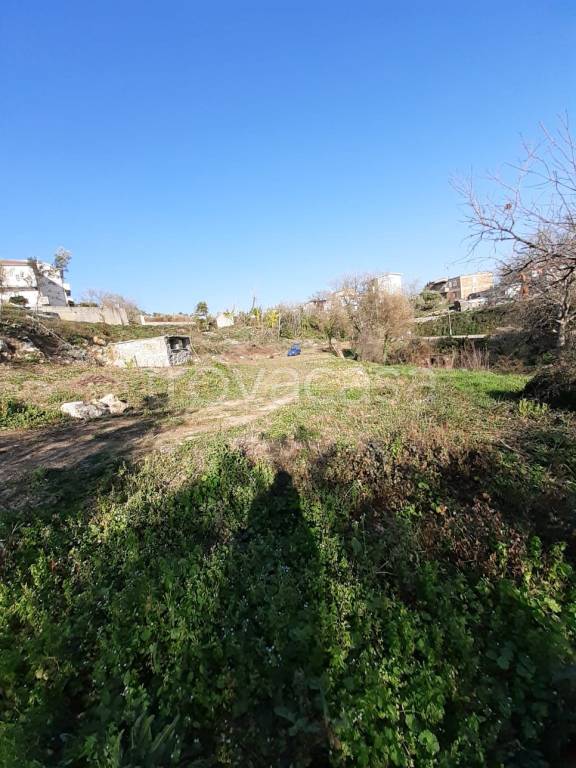 terreno agricolo in vendita a Catanzaro in zona Gagliano