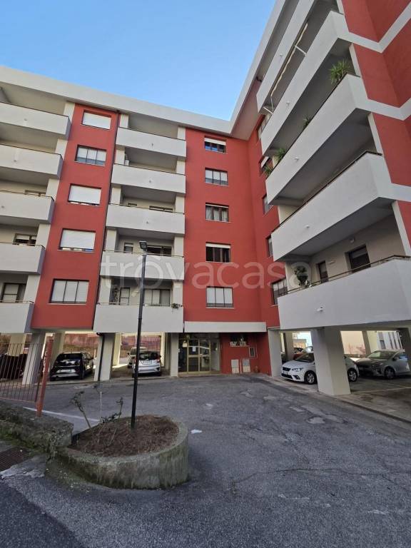 appartamento in vendita a Catanzaro in zona Mater Domini