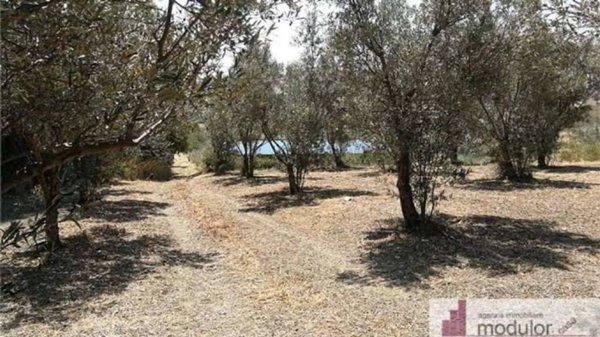 terreno agricolo in vendita a Catanzaro in zona Siano