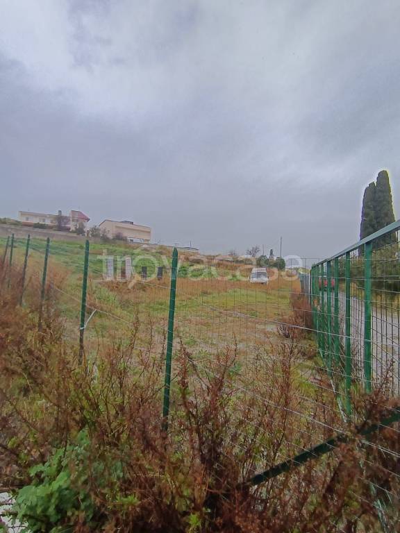 terreno agricolo in vendita a Catanzaro in zona Catanzaro Lido