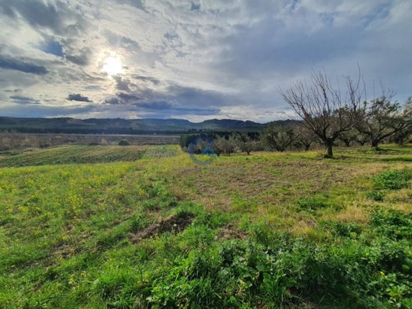 terreno agricolo in vendita a Catanzaro in zona Catanzaro Lido