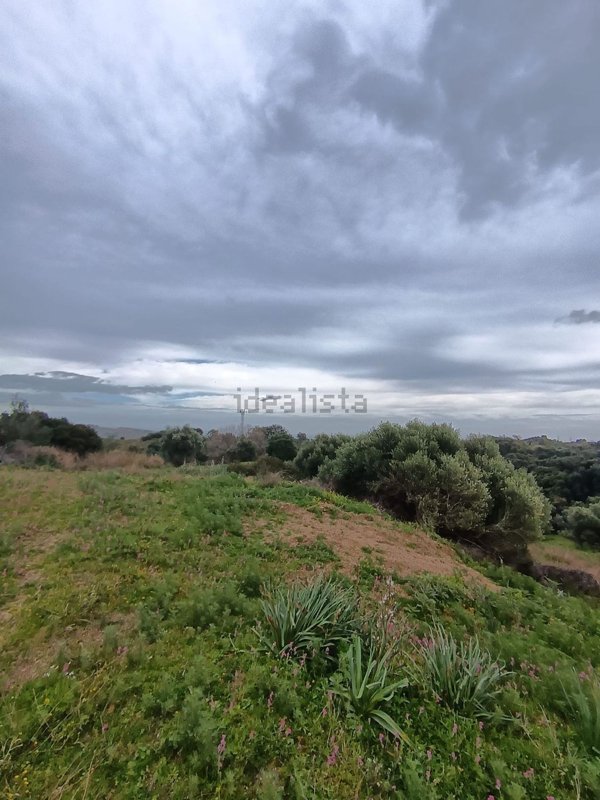 terreno agricolo in vendita a Catanzaro in zona Barone