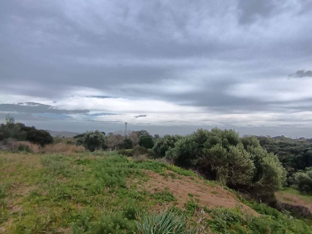 terreno agricolo in vendita a Catanzaro in zona Germaneto