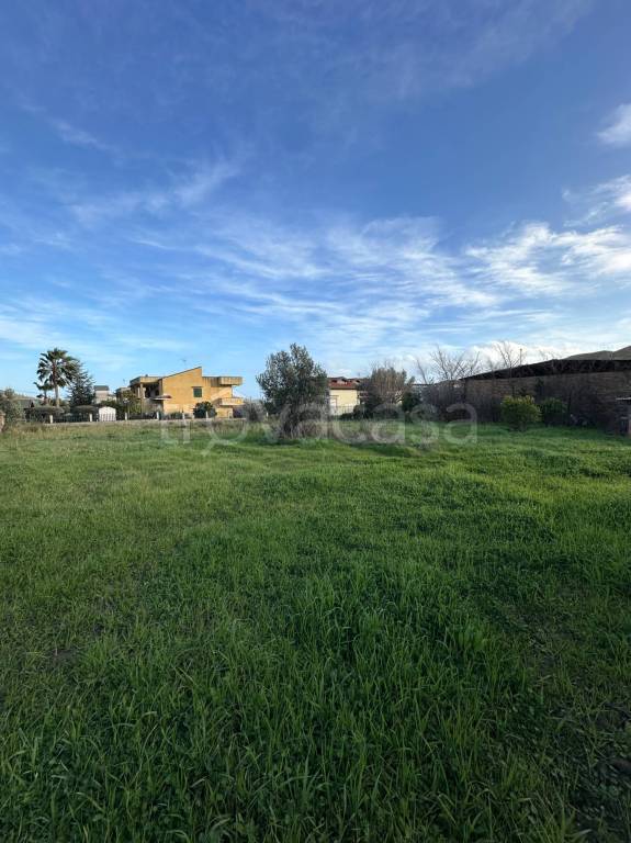 terreno agricolo in vendita a Catanzaro in zona Santa Maria