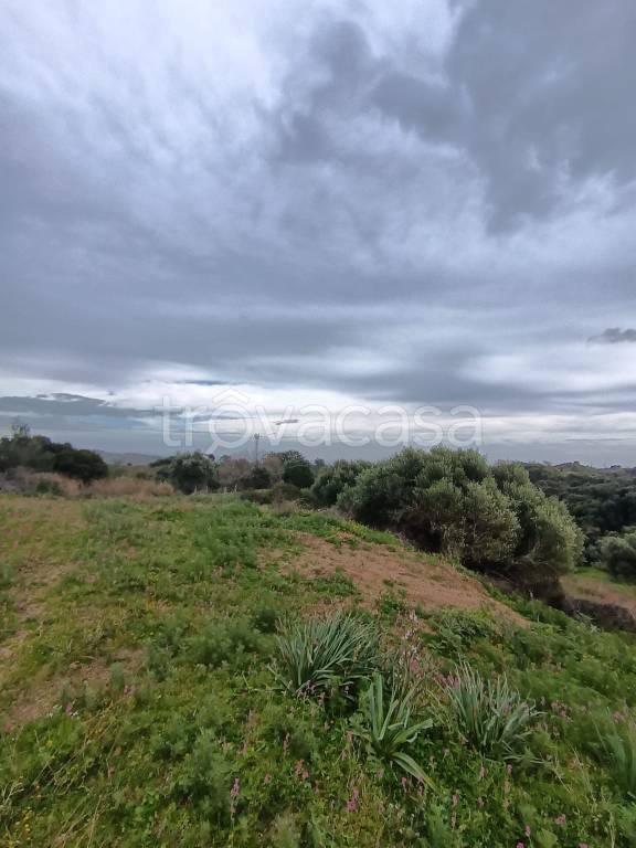 terreno agricolo in vendita a Catanzaro in zona Catanzaro Lido