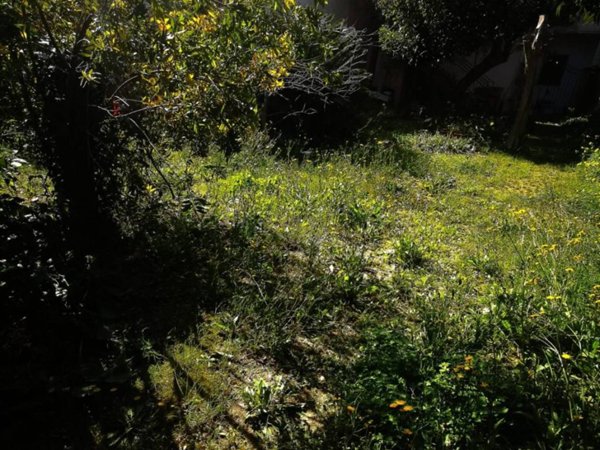 casa indipendente in vendita a Catanzaro in zona Centro Città