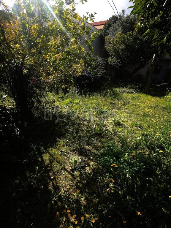 casa indipendente in vendita a Catanzaro in zona Centro Città