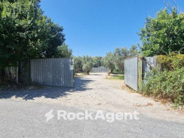 negozio in vendita a Catanzaro