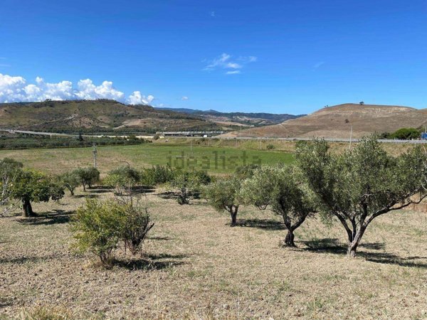 terreno agricolo in vendita a Catanzaro in zona Germaneto