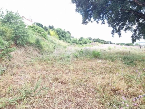 terreno agricolo in vendita a Catanzaro in zona Germaneto