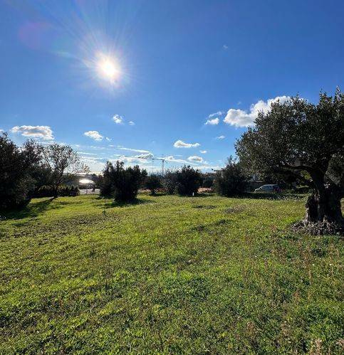 terreno agricolo in vendita a Catanzaro in zona Siano