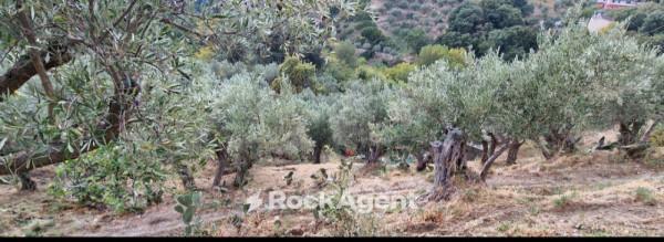 casa indipendente in vendita a Catanzaro