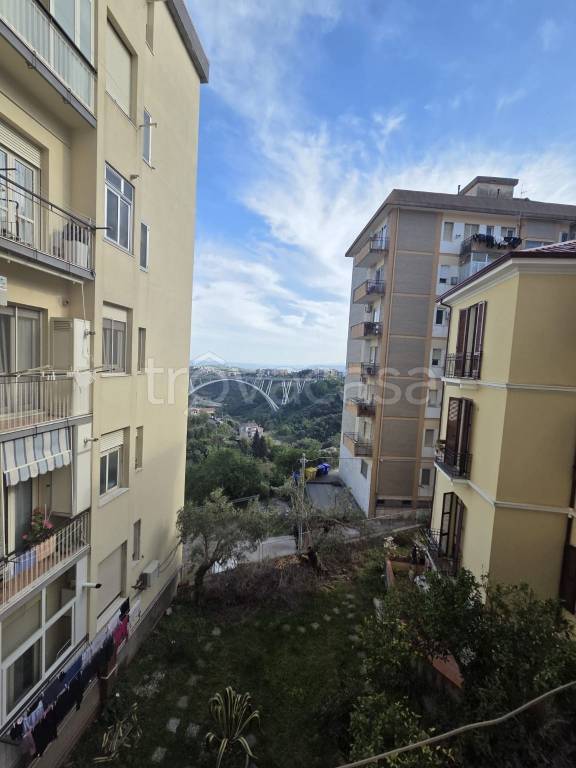 negozio in vendita a Catanzaro in zona Centro Città