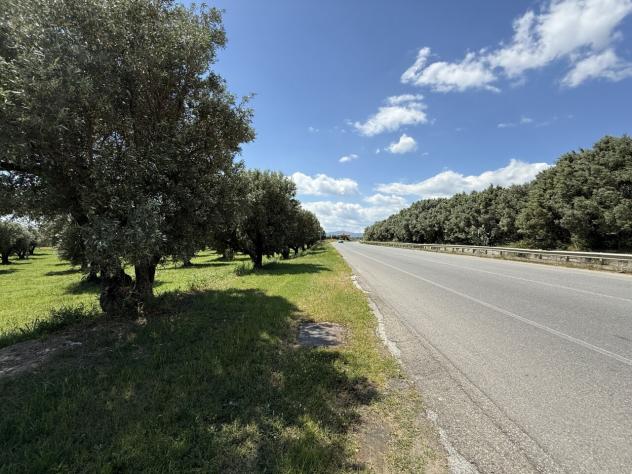 negozio in vendita a Catanzaro in zona Catanzaro Lido