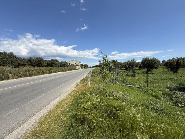 negozio in vendita a Catanzaro in zona Catanzaro Lido