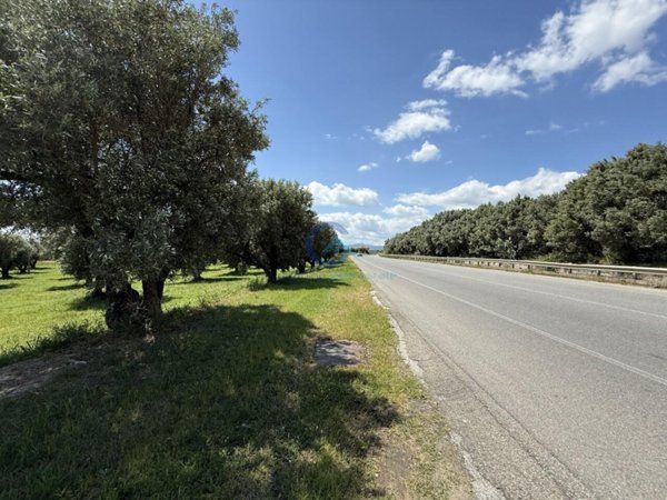terreno agricolo in vendita a Catanzaro in zona Catanzaro Lido