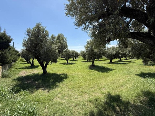 terreno edificabile in vendita a Catanzaro in zona Catanzaro Lido