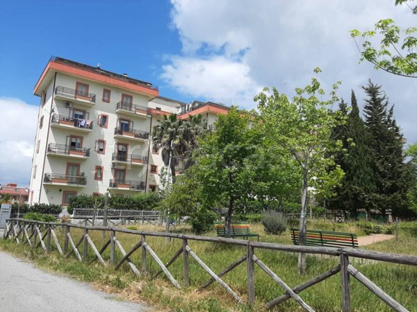 appartamento in vendita a Catanzaro in zona Mater Domini