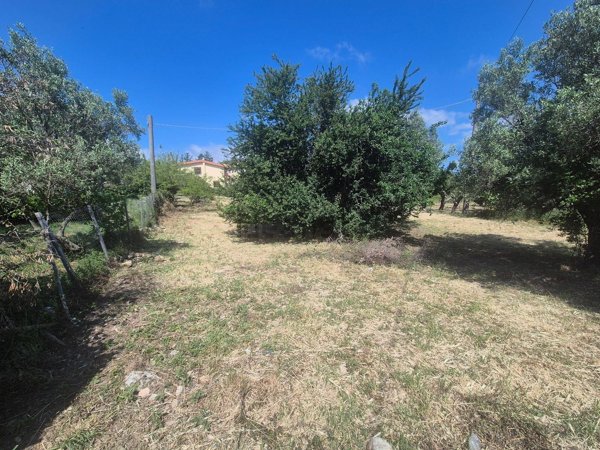 terreno agricolo in vendita a Catanzaro in zona Gagliano