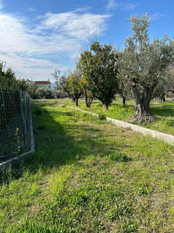 appartamento in vendita a Catanzaro in zona Germaneto