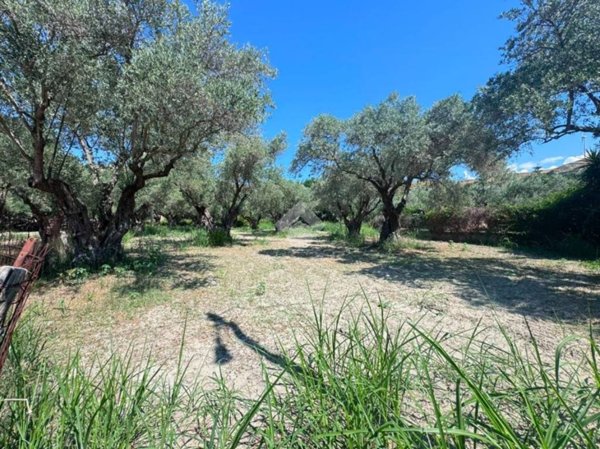 terreno agricolo in vendita a Catanzaro