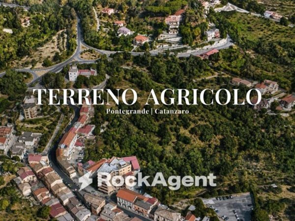 terreno agricolo in vendita a Catanzaro in zona Pontegrande