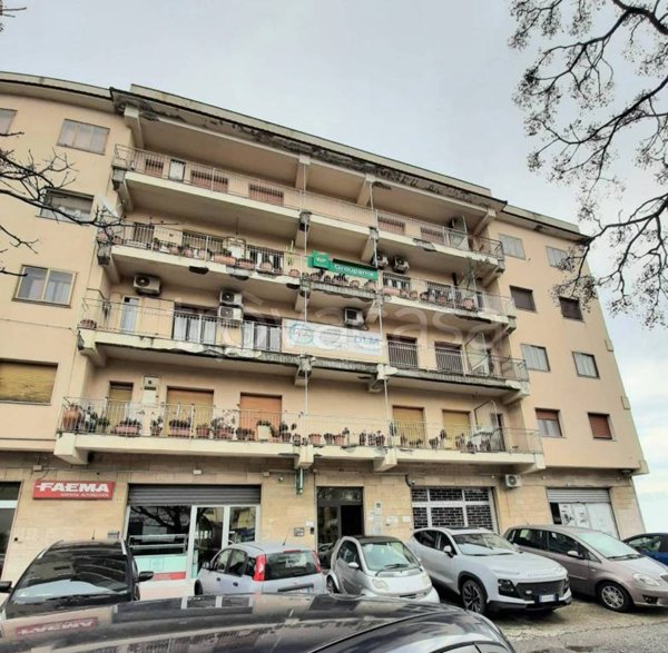 appartamento in vendita a Catanzaro in zona Mater Domini