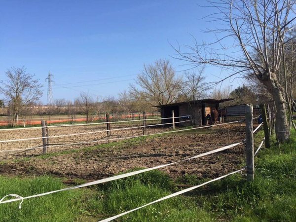 terreno agricolo in vendita a Chiaravalle Centrale