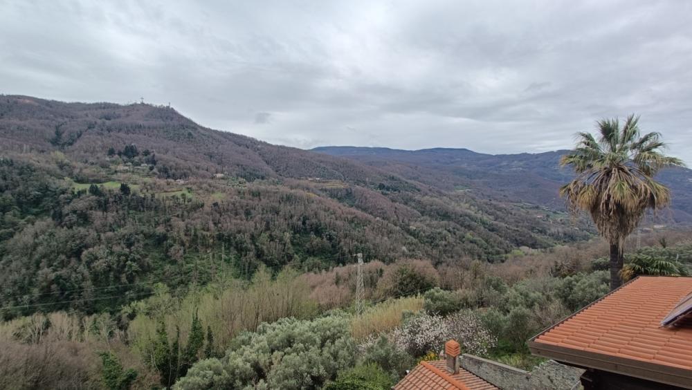 immagine annuncio 0 di 2
