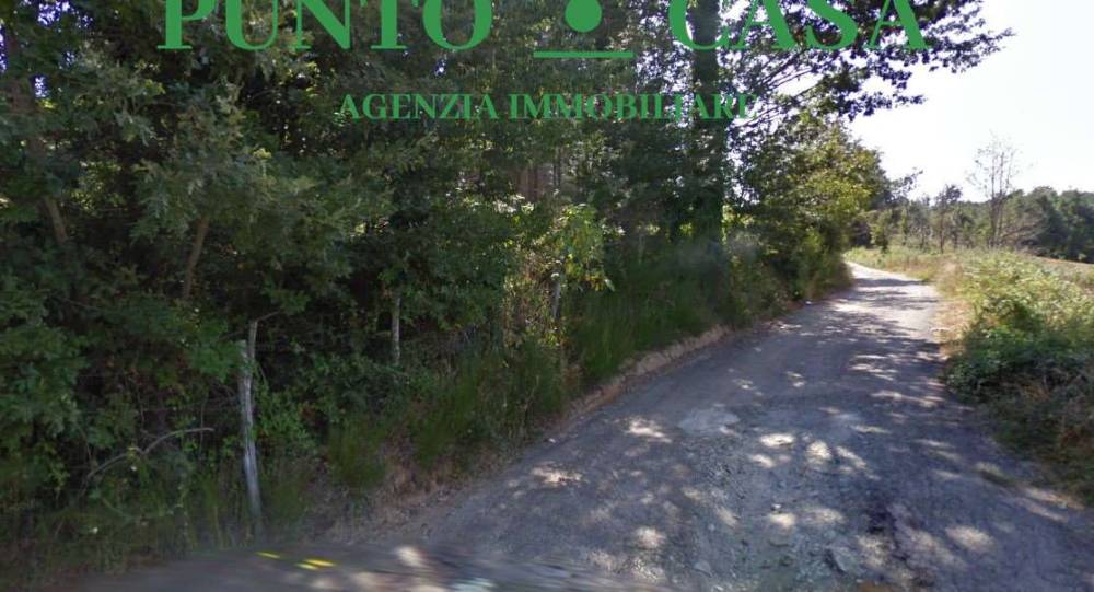 casa indipendente in vendita a Conflenti