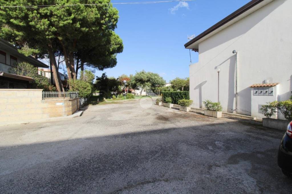 casa indipendente in vendita a Cropani