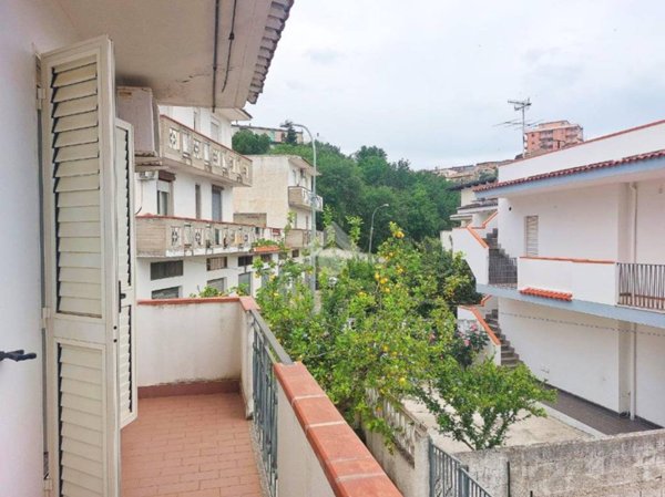 casa indipendente in vendita a Cropani