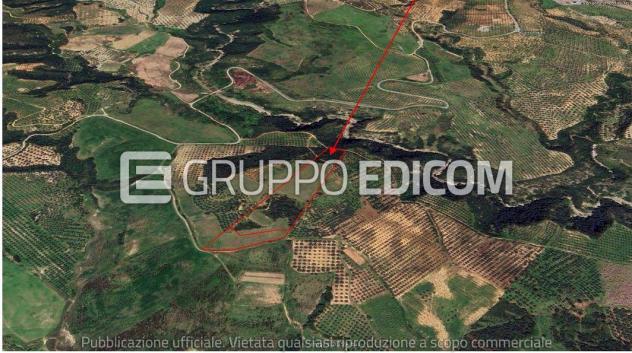 terreno agricolo in vendita a Cropani